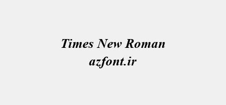 Times New Roman